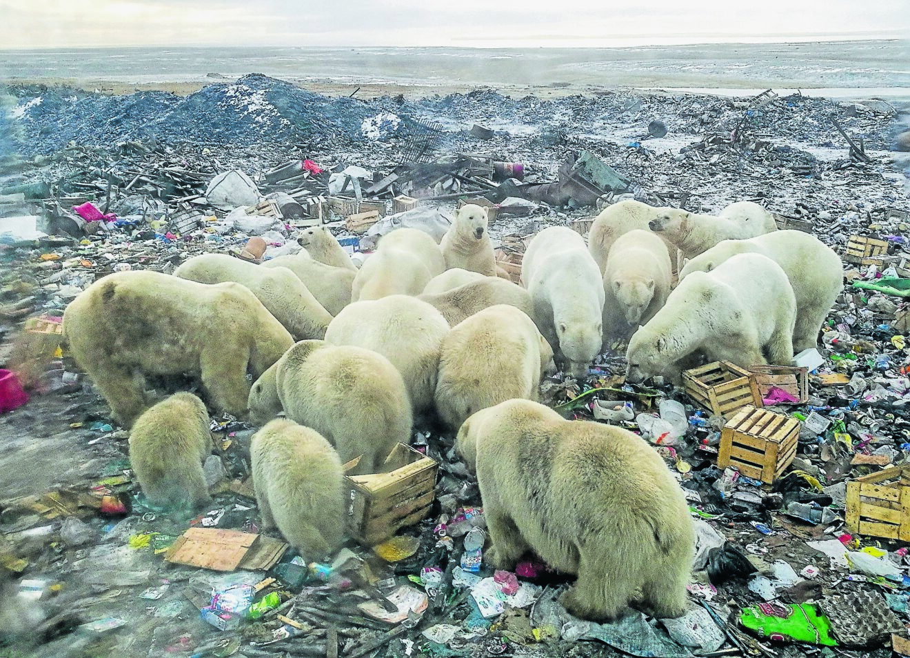 Klimapolitik: »Viele Politiker leben in einer Fantasiewelt«