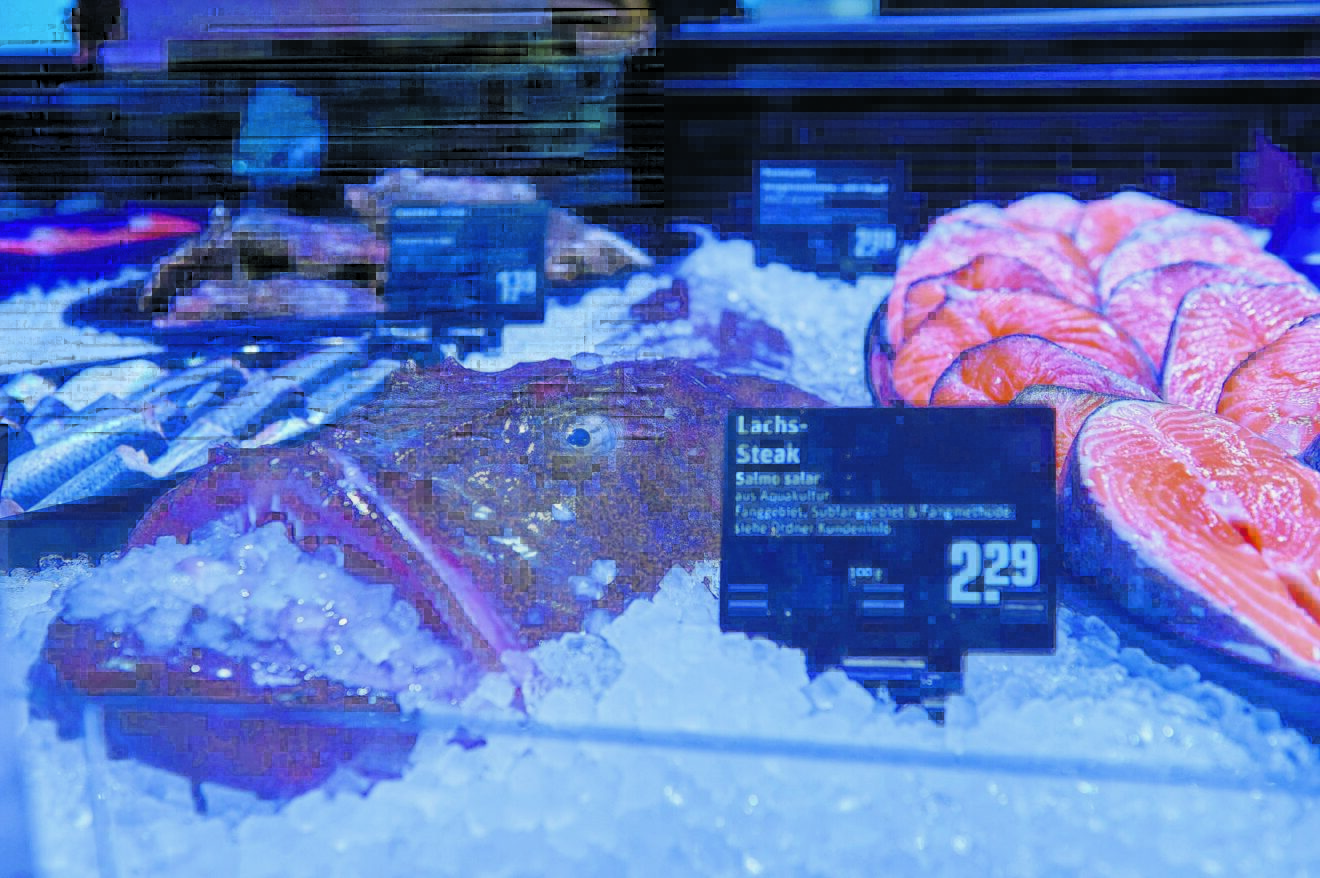 Appetit auf globalen Fisch