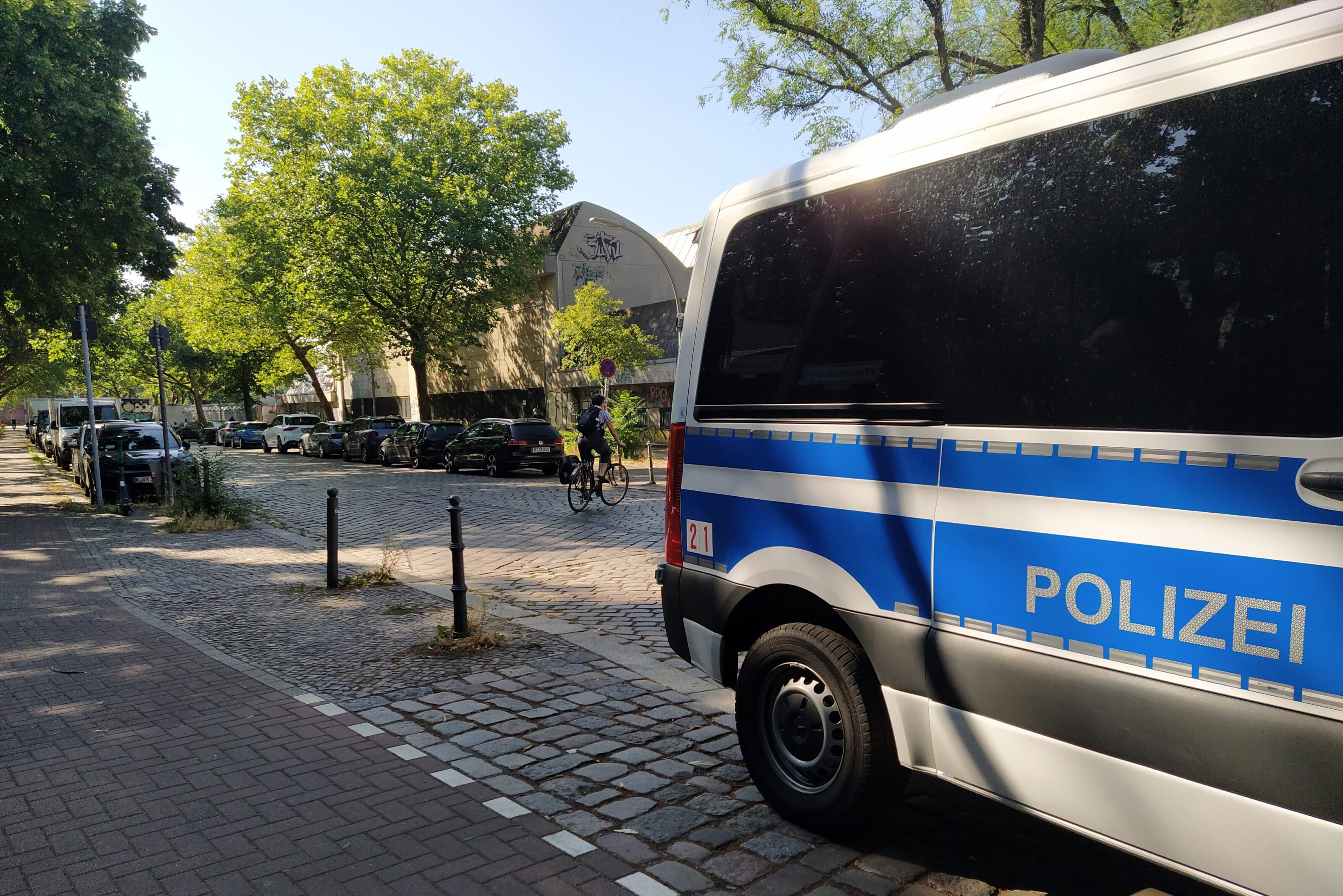 Lauter werden für den Frieden